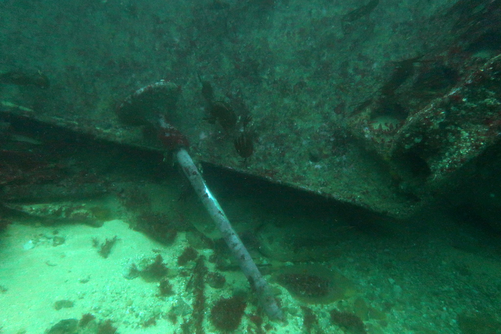 IMG_1421.JPG